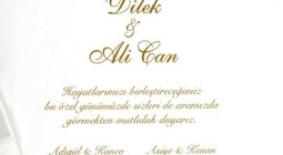 Davetlimsiniz Dilek Kaya & Ali Can Usta Evleniyoruz 